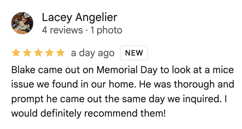 Spud Pest Control Google Review