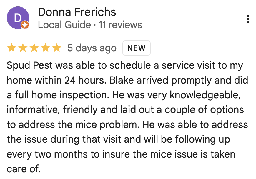 Spud Pest Control Google Review
