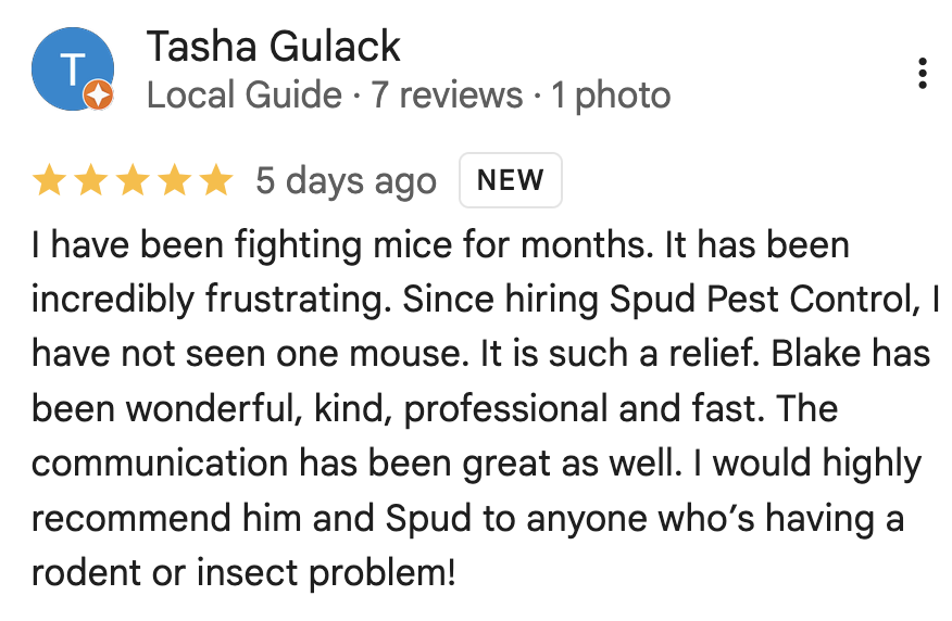 Spud Pest Control Google Review