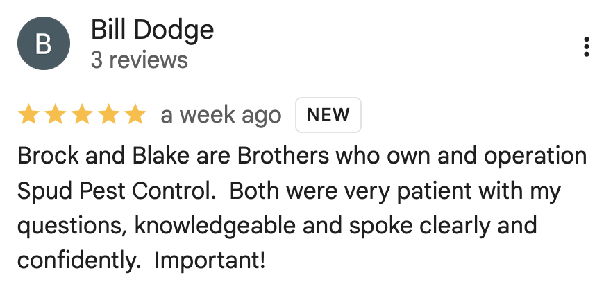 Spud Pest Control Google Review